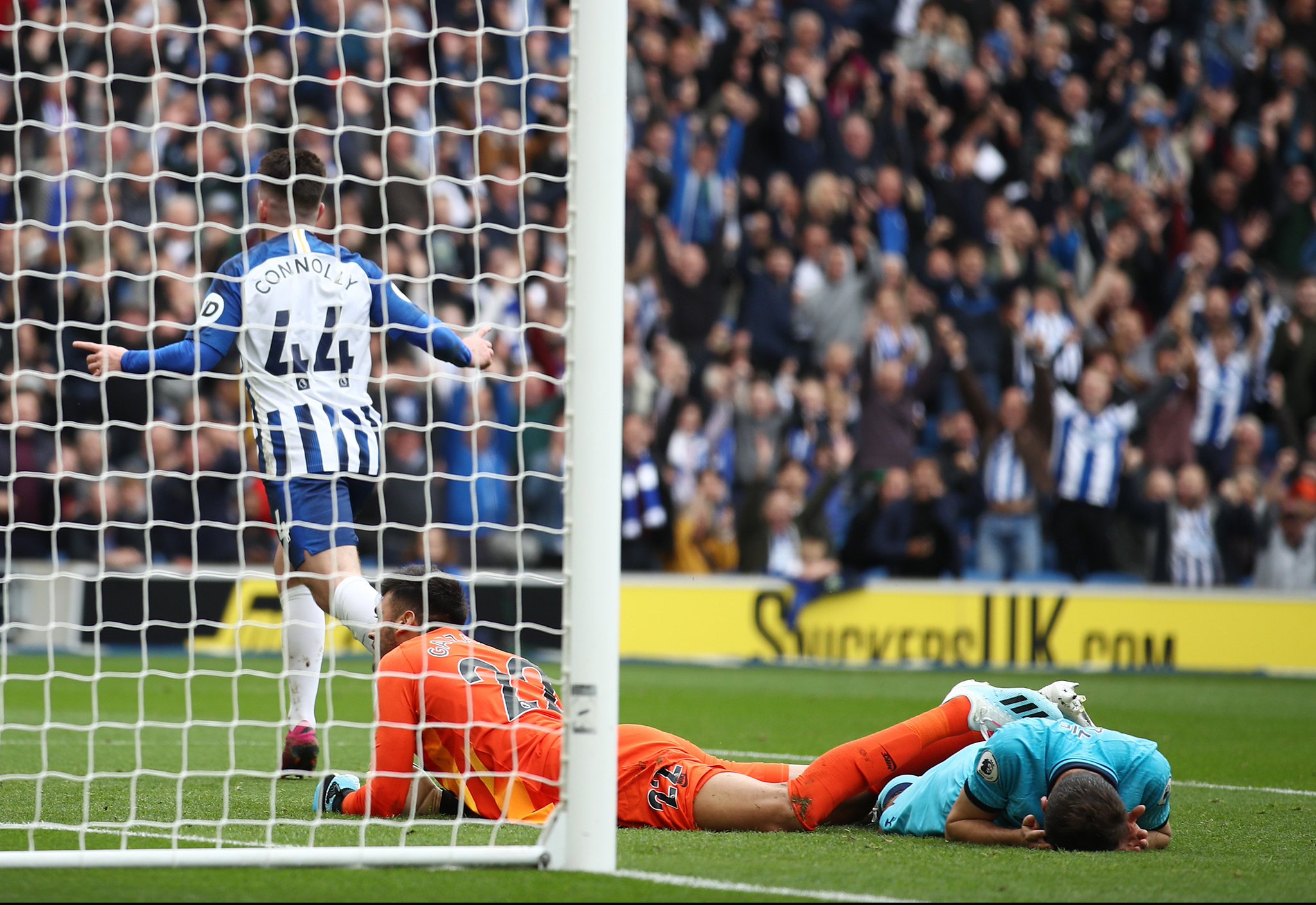 全新的体验 全新的体验